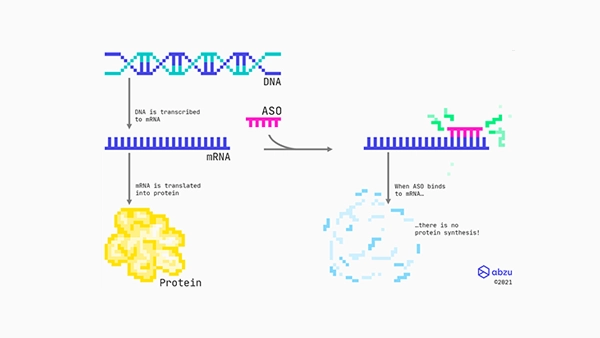 AI and antisense oligonucleotides