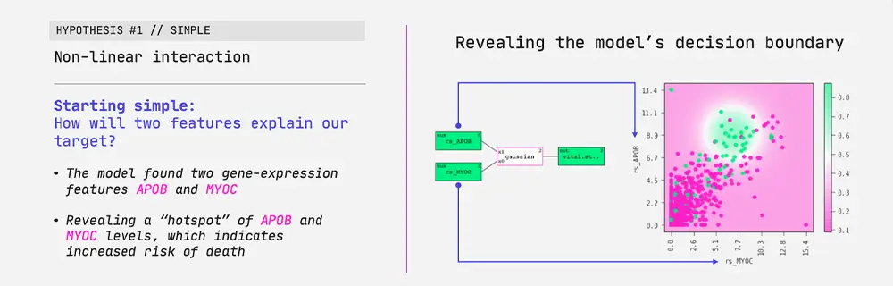 An example of a model decision boundary