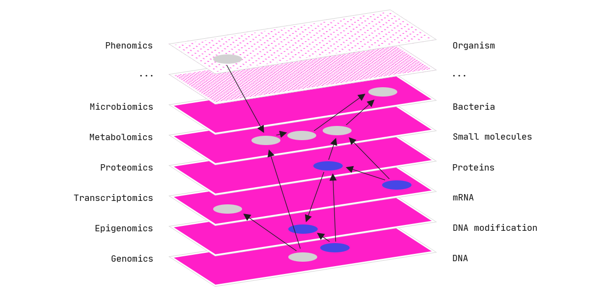 Multiomics data from several levels of the biomolecule