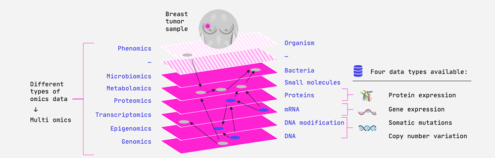 Multi-omics data sets are often small and wide